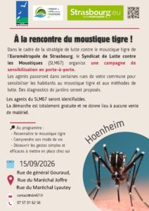 Moustique tigre : campagne de porte-à-porte