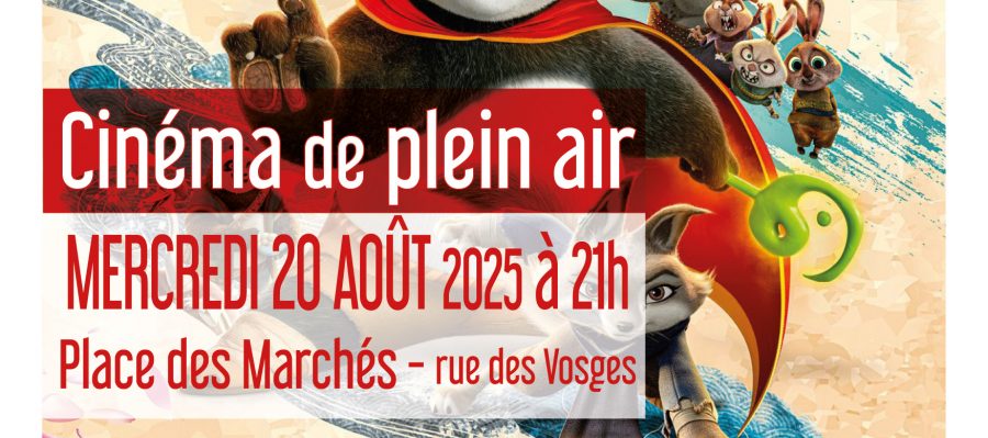 20250820_kungfupanda