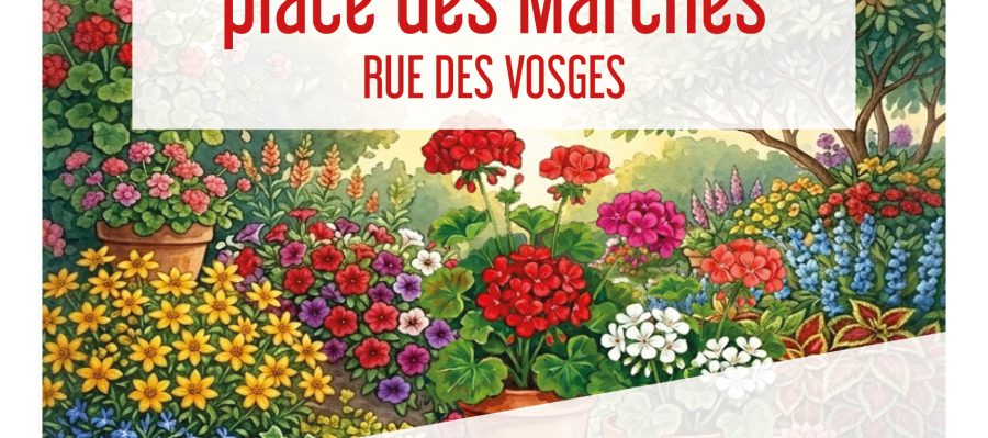 20260502_Fete-geranuim